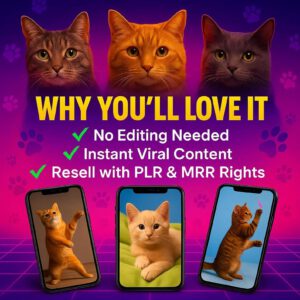 Funny Cat Videos Bundl PLR&MRR